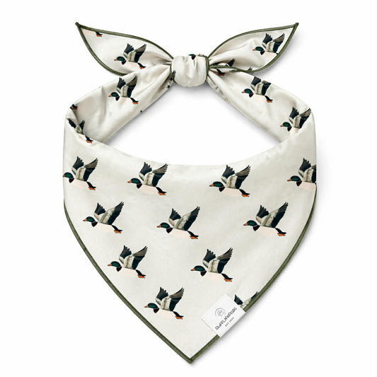 Mallard Duck Dog Bandana