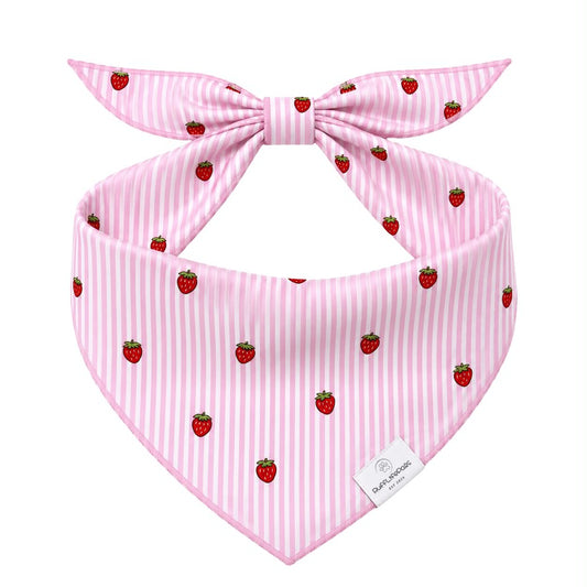 Striped Strawberries Dog Bandana