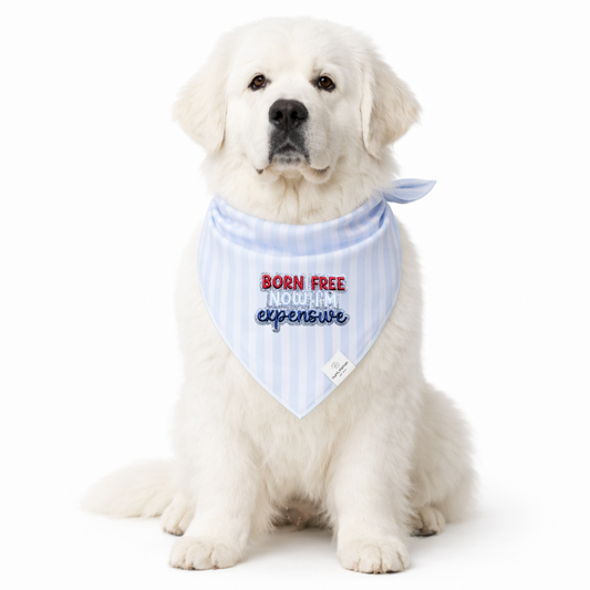 Born Free Now I'm Expensive Light Blue Stripe Dog Bandana - Ready to Ship