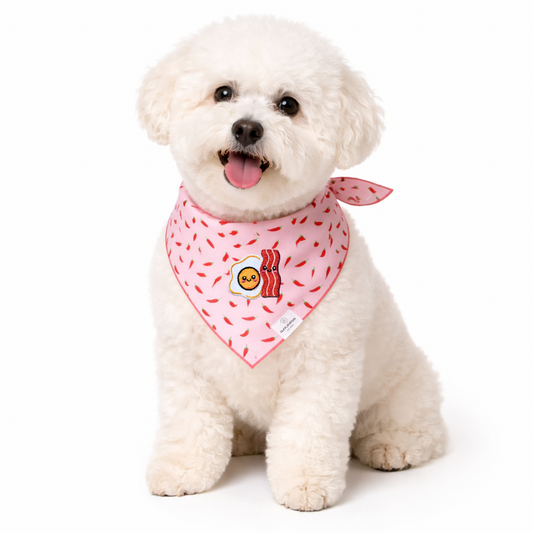 Bacon and Eggs Chili Pepper Dog Bandana - Ready to Ship