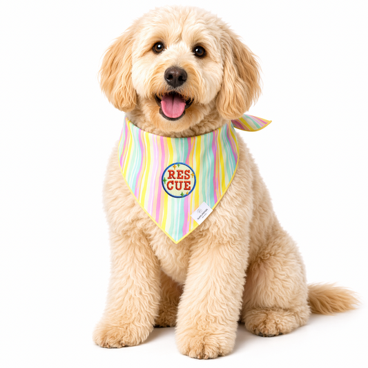 Rescue Pastel Wavy Stripes Dog Bandana - Ready to Ship