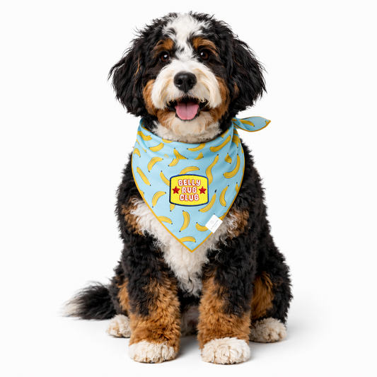 Belly Rub Club Banana Dog Bandana - Ready to Ship