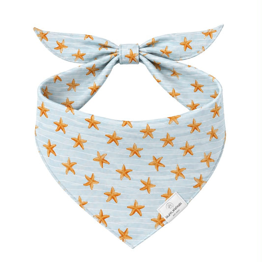 Starfish Dog Bandana