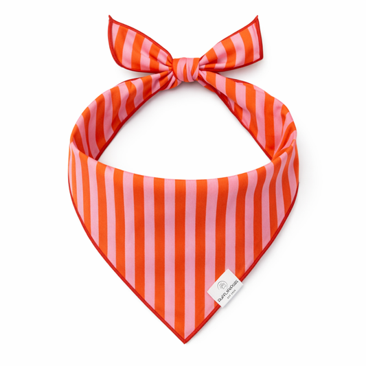 Orange & Pink Stripes Dog Bandana