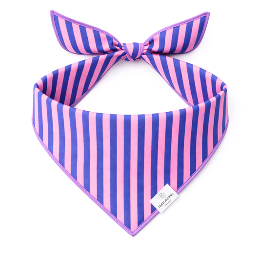 Custom Purple & Pink Striped Dog Bandana