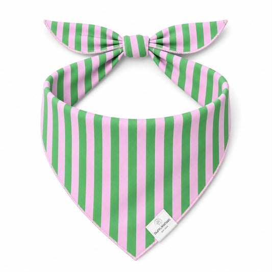 Custom Green & Pink Stripes Dog Bandana